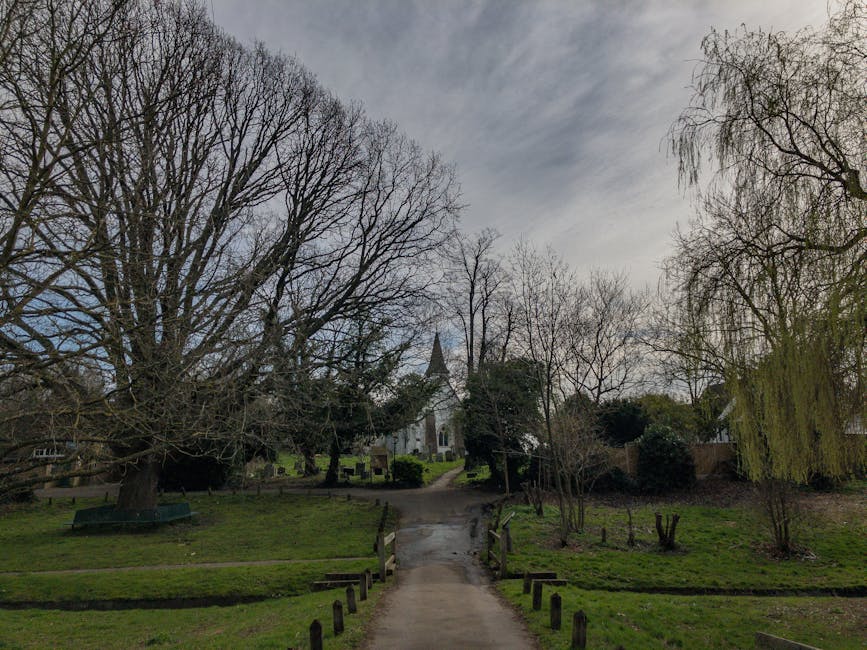 A paved pathway leading through a churchyard with several gravestones and mature trees on either side, in front of a historic stone church with a tall, pointed spire extending into a partly cloudy sky. The church is framed by greenery, and sunlight casts shadows on the grass and pathway. This scene illustrates the exterior environment of a traditional UK place of worship, highlighting the architectural features, the surrounding landscape, and the natural light conditions, which are relevant for home relocation and loading processes managed by companies like Man with Van Upminster during moving services.